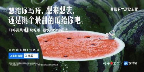 学校日常吃瓜文案,揭秘校园里的那些“瓜”