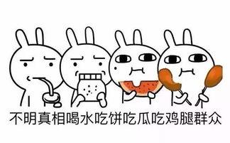 网络用语吃瓜群众的英文