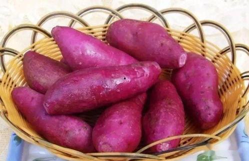 什么时间吃土瓜,跟随时间节点解锁美味秘密